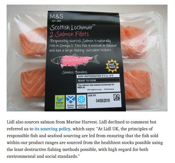 Ferret 6 August Named & Shamed #6