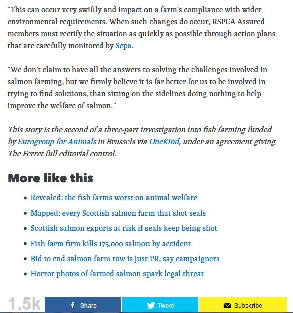 Ferret 6 August Named & Shamed #13