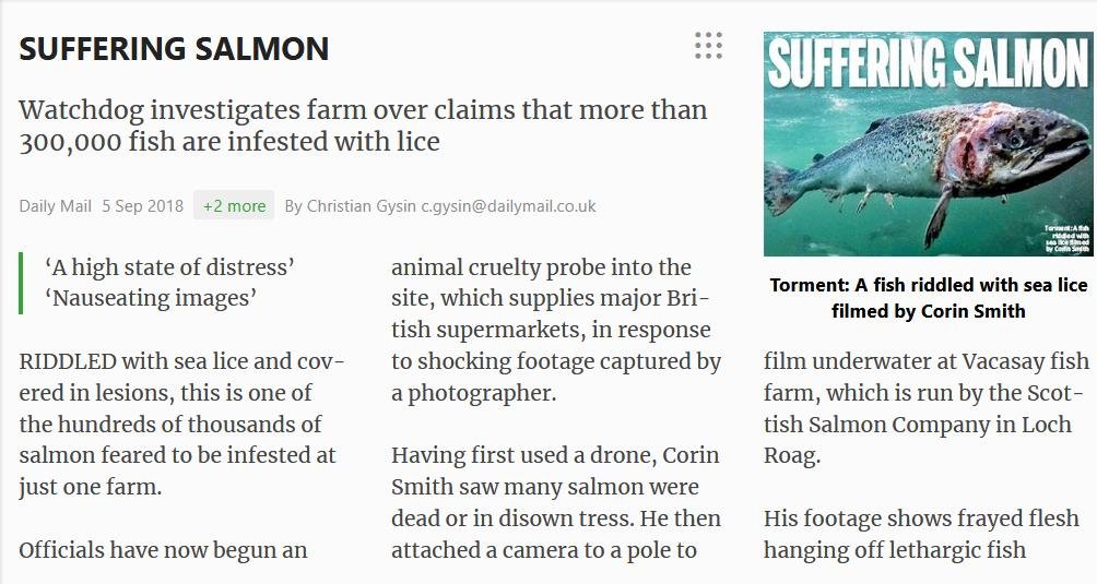 Daily Mail Suffering Salmon 5 September 2018 #2