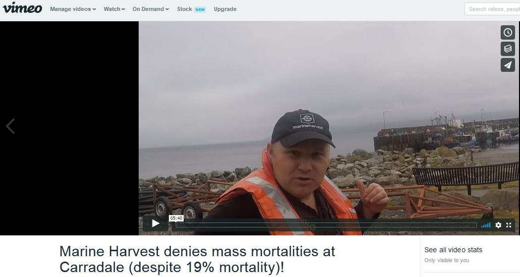 Vimeo MH Carradale mort denial