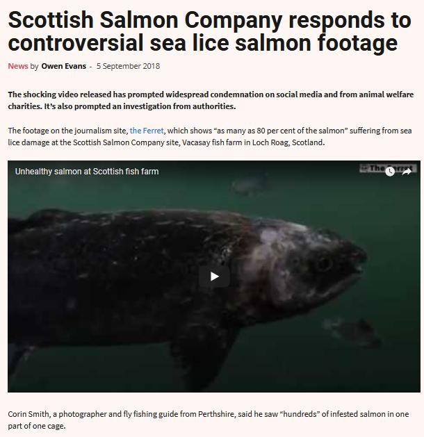 Salmon Business 5 Sept 2018 #1