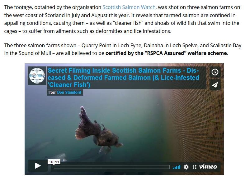 PETA on Shocking Video 13 Sept 2018 #3