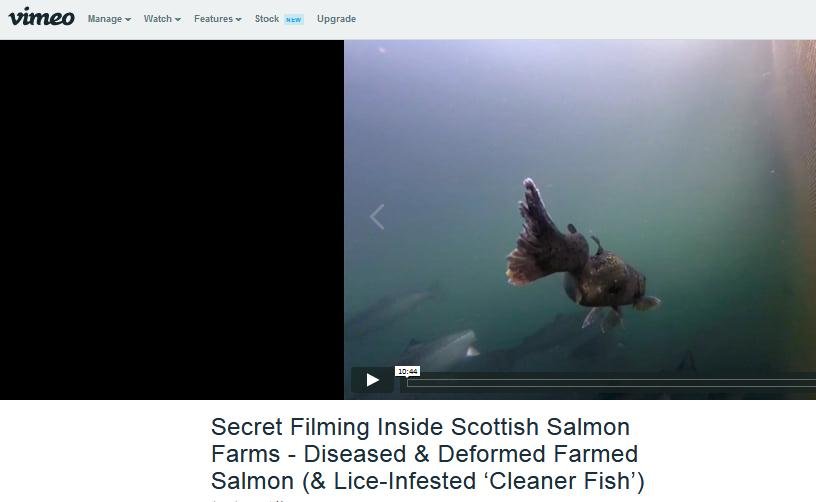 Sunday Post 30 September 2018 Vimeo link