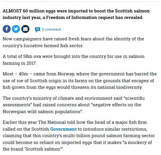 The National 13 Oct 2018 #2