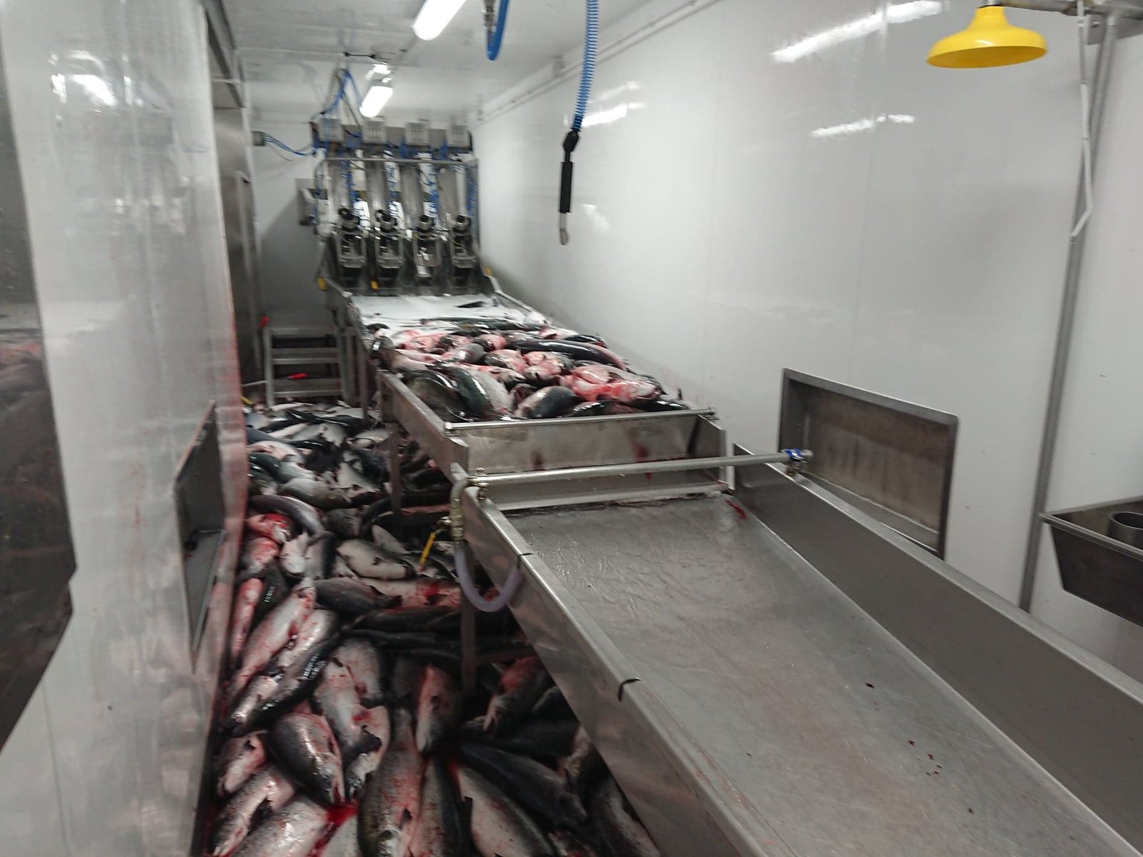 SSC Toward harvesting whistleblower #4 SSC Toward harvesting whistleblower #4