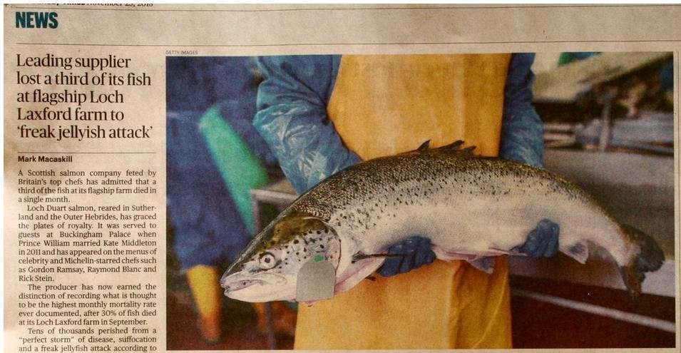 Sunday Times 25 Nov 2018 #1