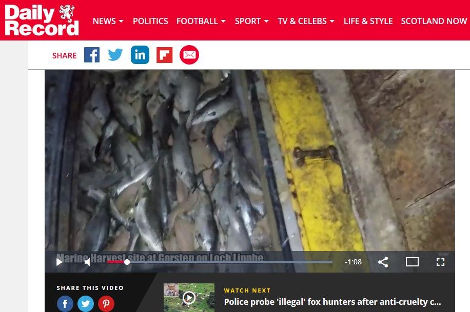 Sunday Mail 24 Nov 2018 #2 video