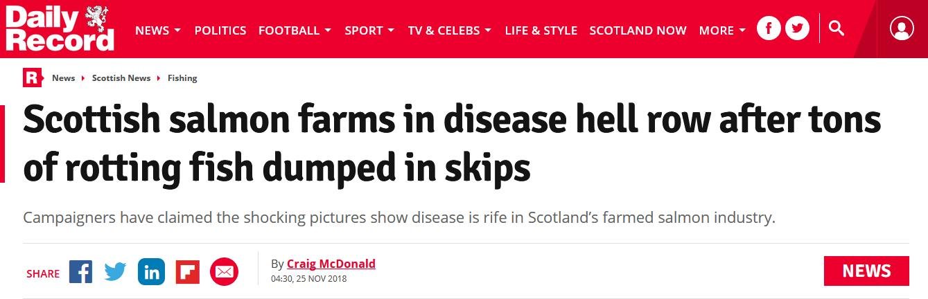 Sunday Mail 24 Nov 2018 #1 online