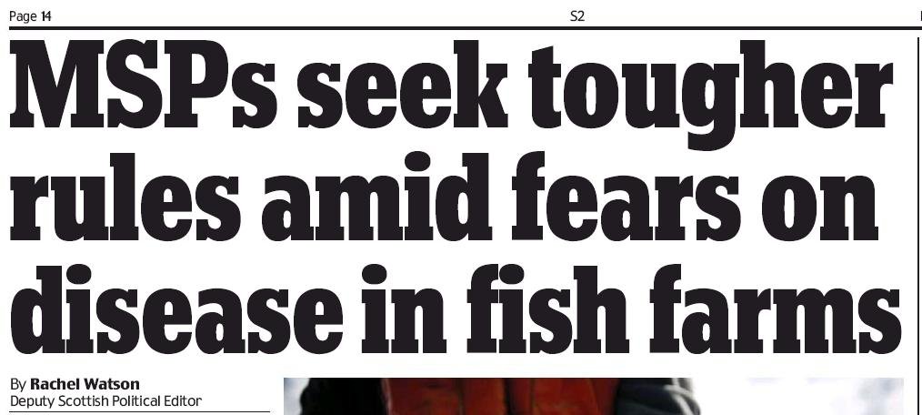 Daily Mail 27 Nov 2018 #1