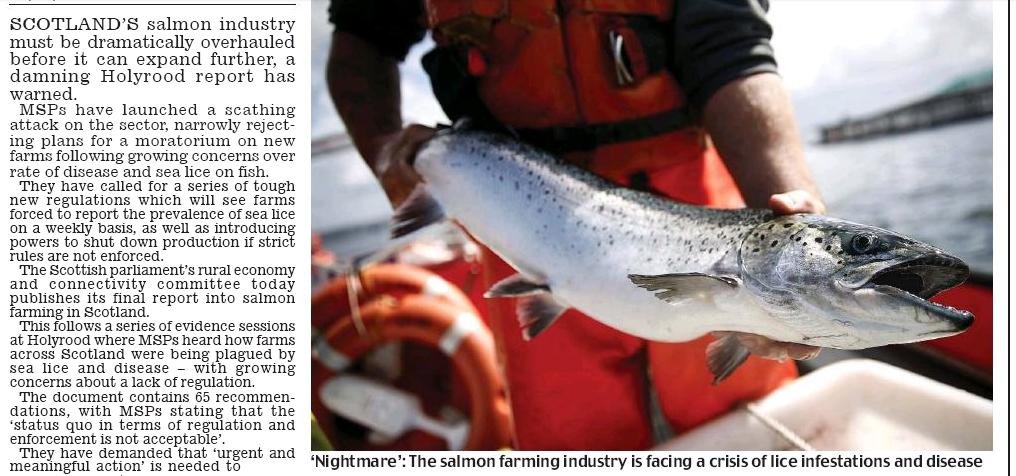 Daily Mail 27 Nov 2018 #2