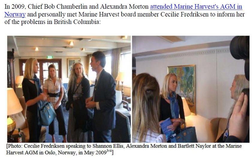 X-Rated Mowi 3 Dec 2018 #12