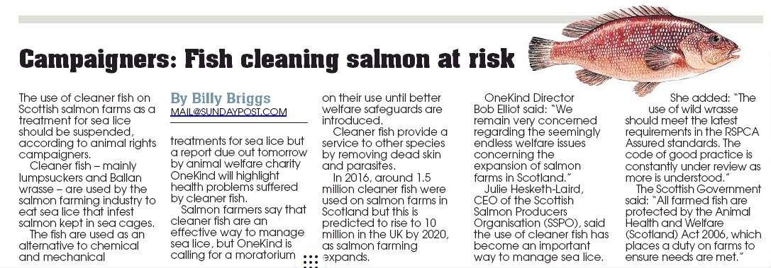 Sunday Post 9 Dec 2018 newspaper version Sunday Post 9 Dec 2018 newspaper version