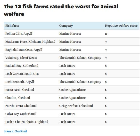 OneKind report table of 12 worst fish farms