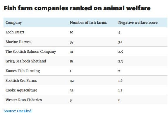 OneKind report table of worst companies