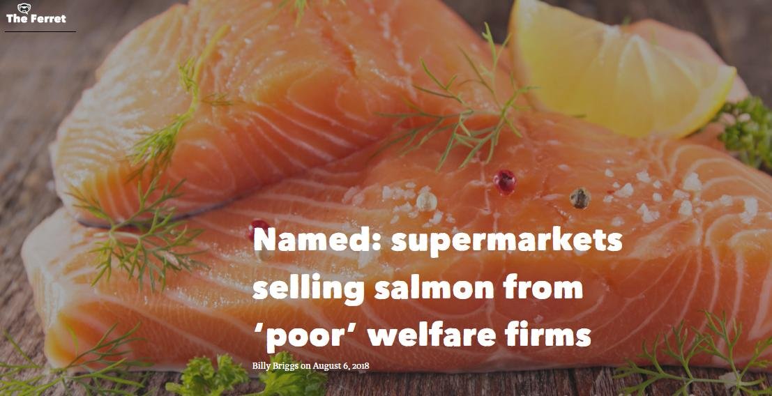 Ferret 6 August Named & Shamed #1