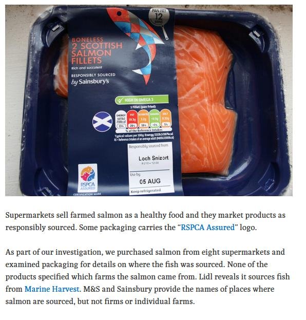 Ferret 6 August Named & Shamed #3