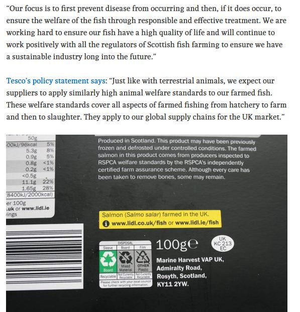 Ferret 6 August Named & Shamed #8