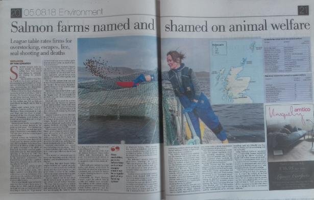 Sunday Herald 5 Aug 2018 double page