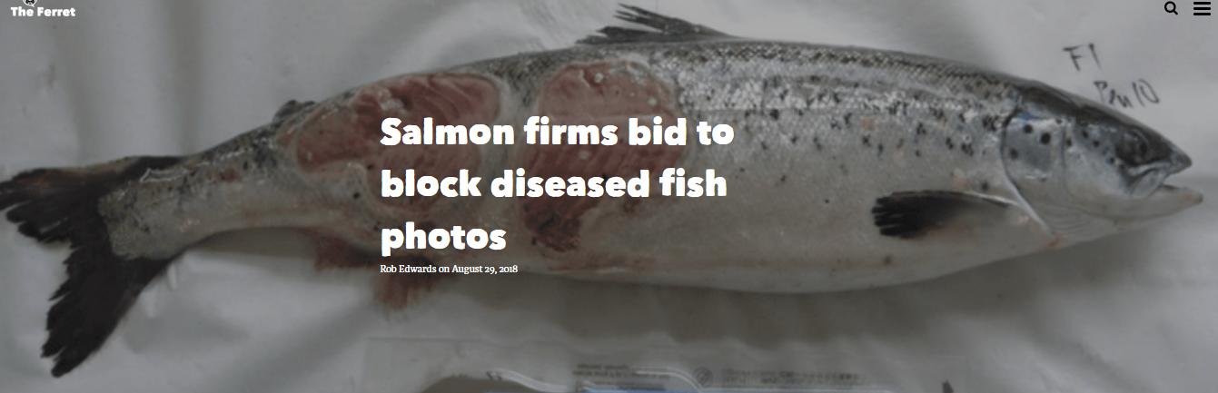 Ferret 29 Aug 2018 #1 newer with Rob Edwards