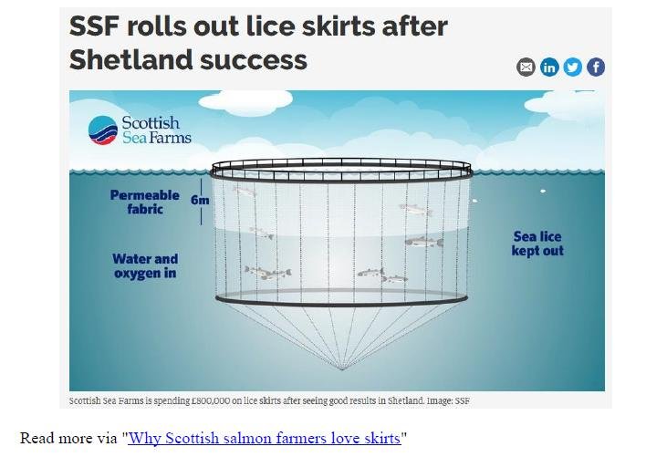PR Dirty Secrets Lurking Under Scottish Salmon's Lice Skirt 7 Sept 2018 #5 second