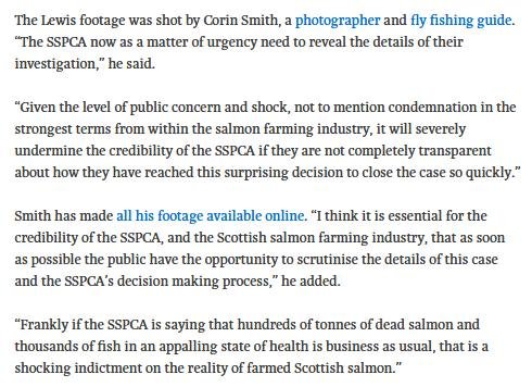 Corin in The Ferret 10 September 2018