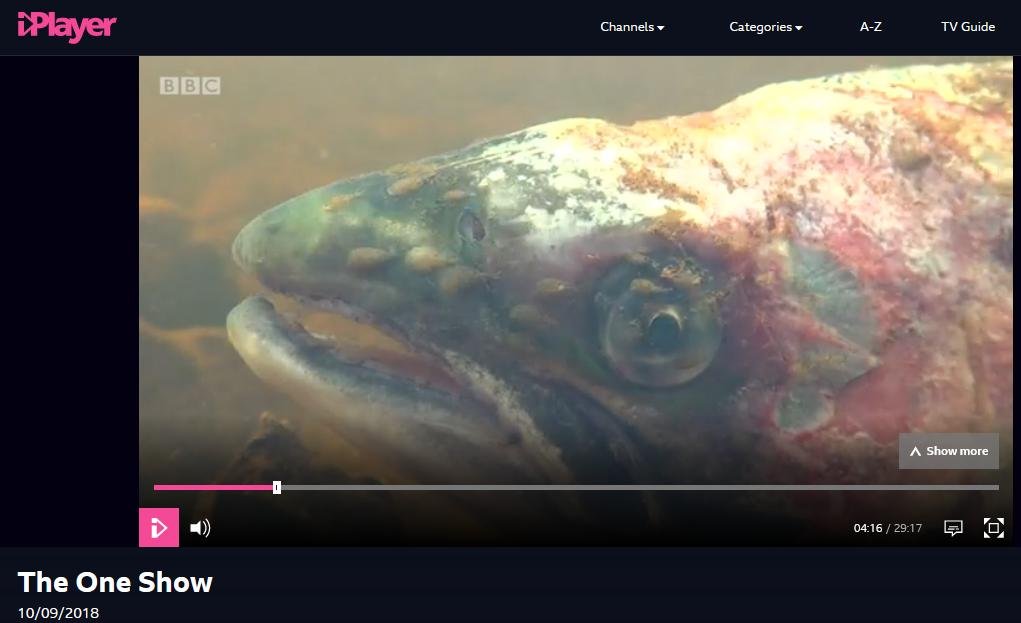 BBC One Show 10 Sept 2018 #4 lice on wild salmon