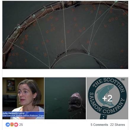 Corin Facebook 12 Sept #2