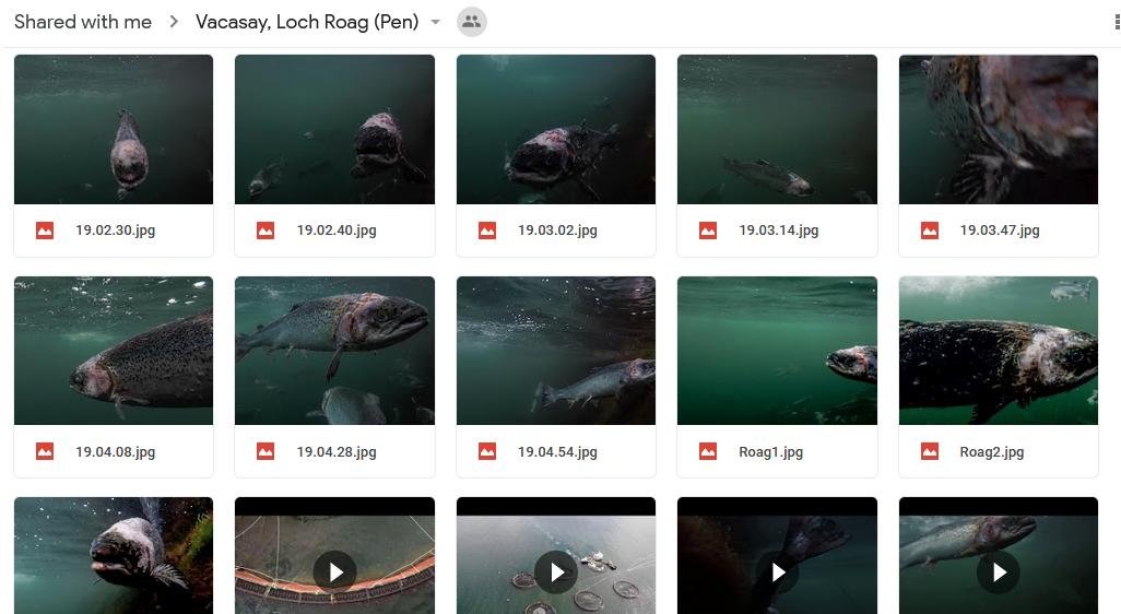 Corin photo gallery Google Drive