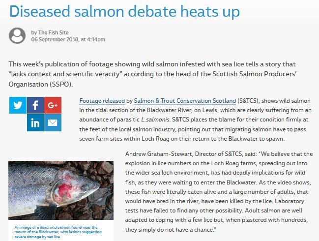 Fish Site 6 Sep 2018