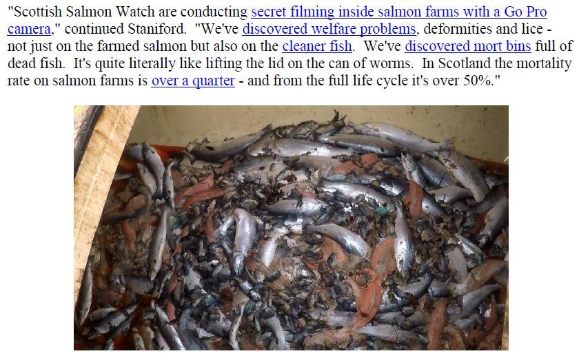 PR The Skinny on Scottish Salmon 15 Oct 2018 #4