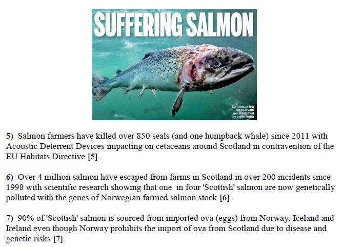 PR Parliament Grills Scottish Salmon 5 Feb 2019 #8