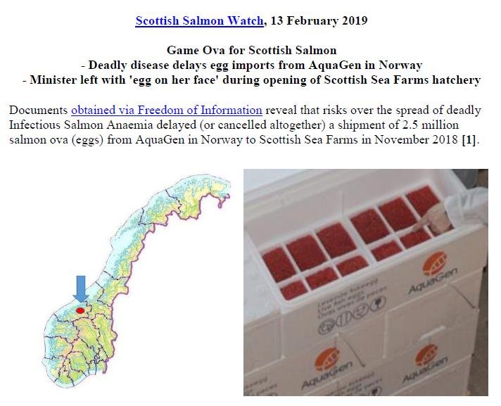 PR Game Ova for Scottish Salmon 13 Feb 2019 #1