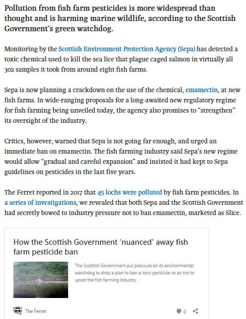 Ferret 7 Nov 2018 #2