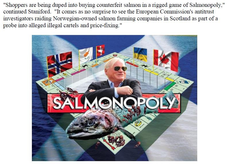 PR Scottish Scamon 24 February 2019 #4