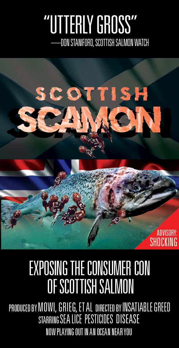 ScamonFilm-Poster1a ScamonFilm-Poster1a