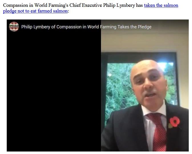 PR Salmon Pledge Goes Wild Around the World 9 November 2018 #6