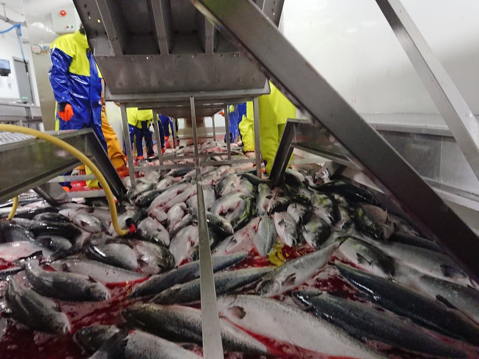 SSC Toward harvesting whistleblower #1 SSC Toward harvesting whistleblower #1