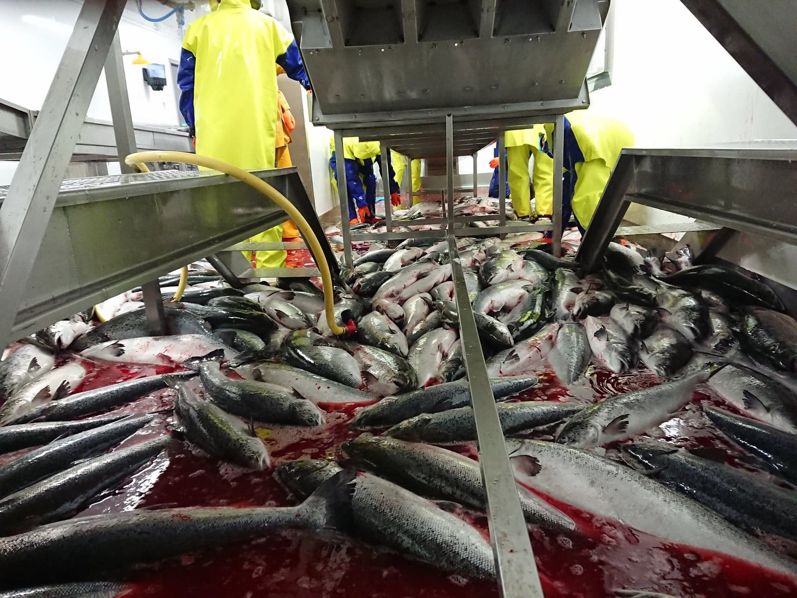 SSC Toward harvesting whistleblower #2 SSC Toward harvesting whistleblower #2