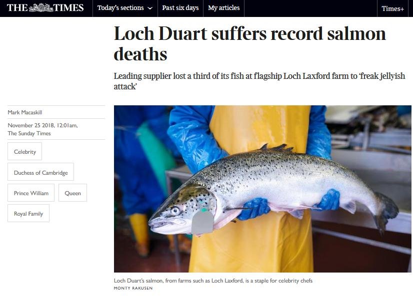 Sunday Times 25 Nov 2018 #1 online