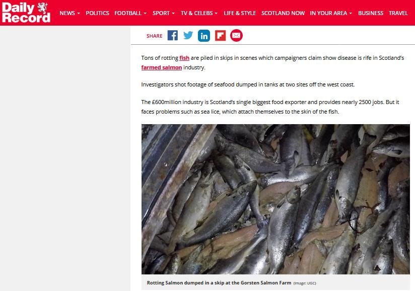 Sunday Mail 24 Nov 2018 #3