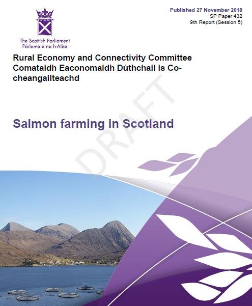 RECC Report 27 November 2018 #1 cover