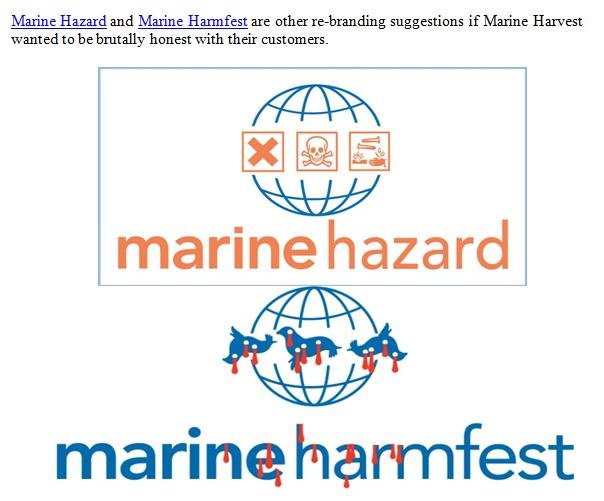 Competition Launch Nov 2018 #7