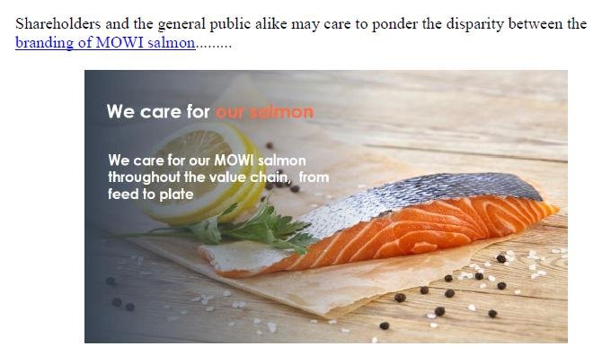 Media Backgrounder MOWI - Unfit for Purpose Nov 2018 #2