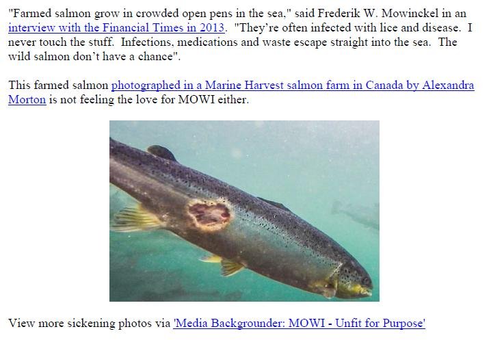 PR Say No Way to MOWI 30 Nov 2018 #8