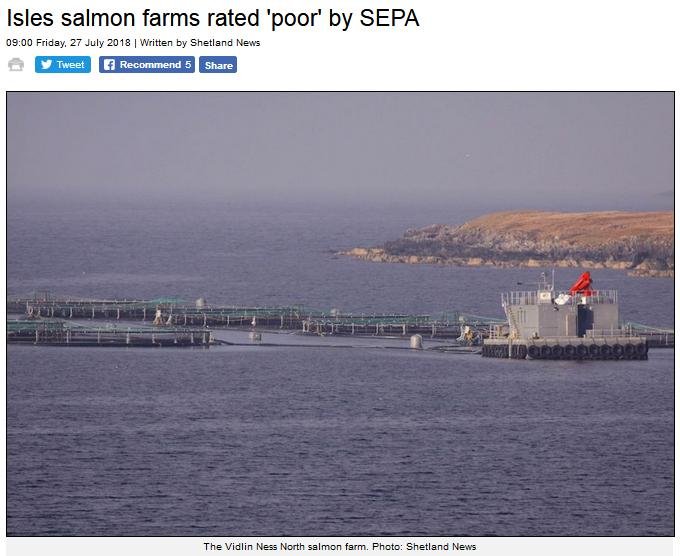 Shetland News 27 July 2018 #2