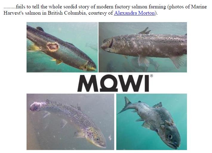 X-Rated Mowi 3 Dec 2018 #7