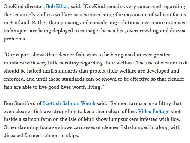 Ferret 10 Dec 2018 #3 Ferret 10 Dec 2018 #3