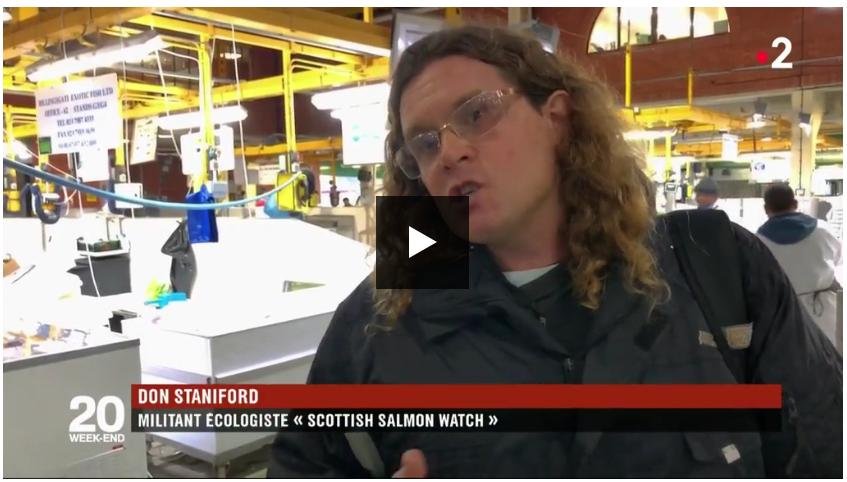 France 2 #1 Militant