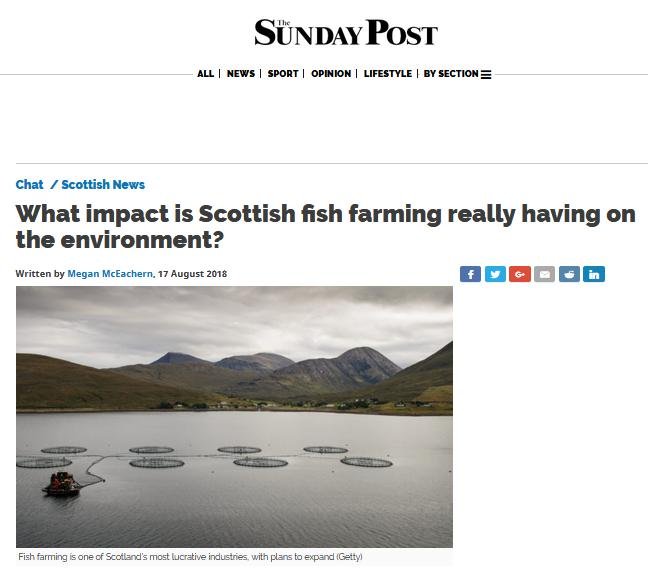 Sunday Post 17 Aug 2018 #1