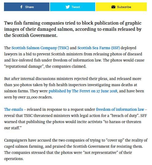 Ferret 29 Aug 2018 #2